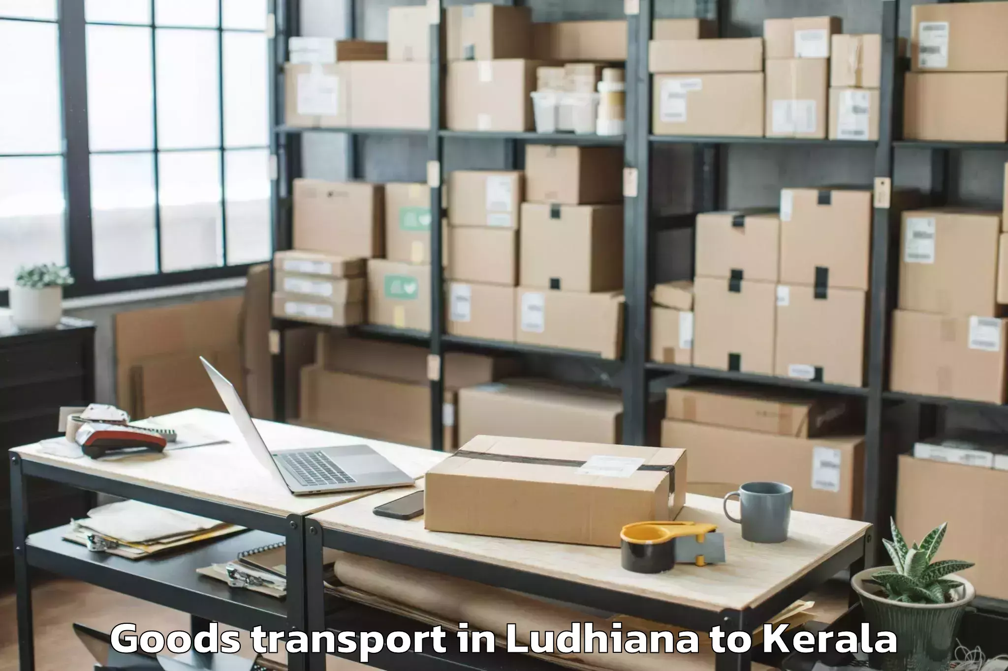 Trusted Ludhiana to Adur Kla Goods Transport